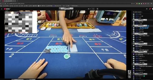 유튜브 도박하는 모습