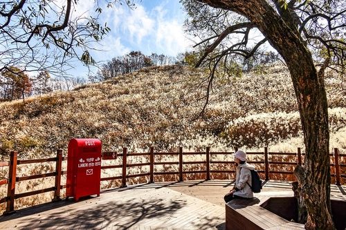 명성산 억새밭에서의 휴식 [사진/백승렬 기자]
