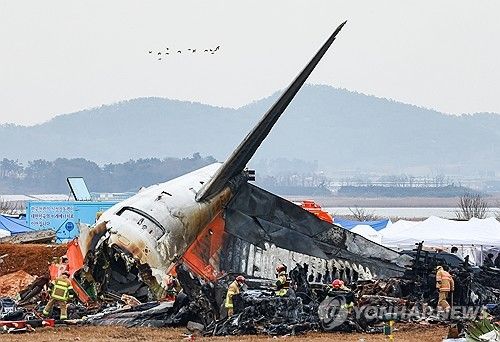 무안 제주항공 사고 현장 인근 비행하는 새들