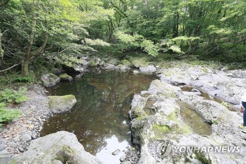 제주 삼다수 숲길 내 천미천