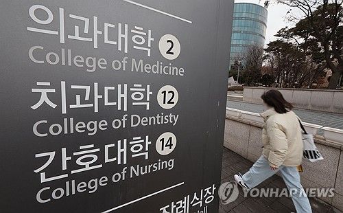 의대 증원에 수시 이월 인원 세자릿수 가능성