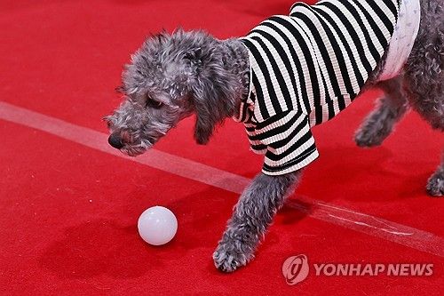 '간식을 찾아볼까'