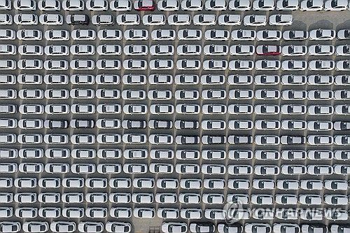 중국 동부 장쑤성 롄윈강항에서 수출 기다리는 중국 전기차들