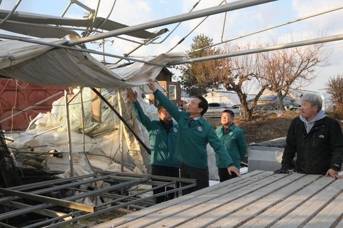 폭설 피해 현장 방문한 조병옥 군수(앞줄 두 번째) 모습
