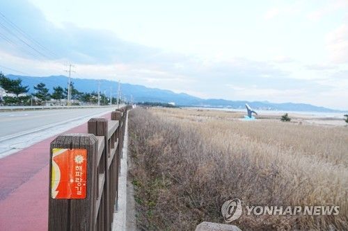 동해 해파랑길 [사진/성연재 기자]