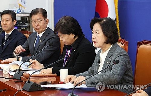 발언하는 추미애 단장