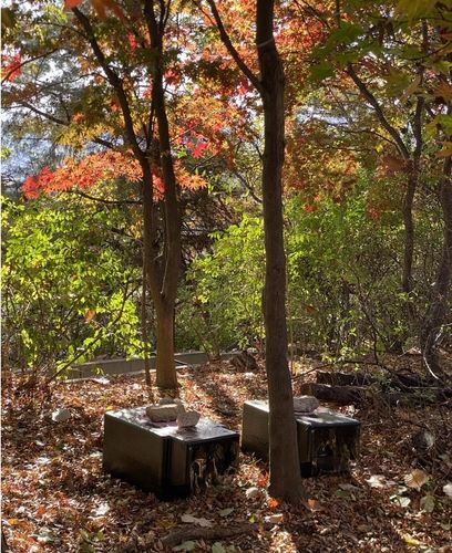 종로구, 길고양이 겨울집 운영