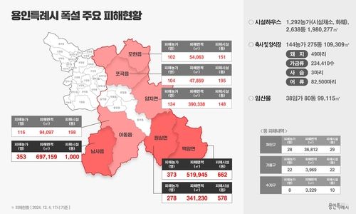 용인시 지역별 폭설 주요 피해 현황