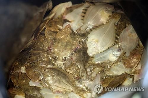 전남 고흥 양식장서 집단폐사