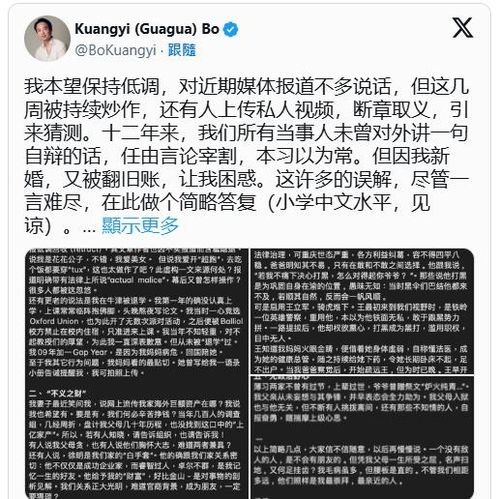 보시라이 해명글