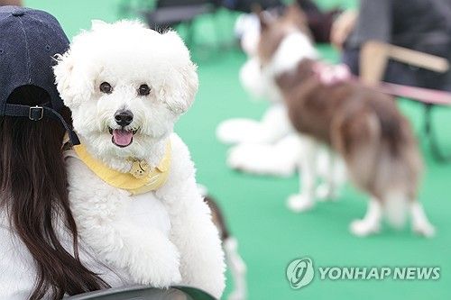 반려동물 한마당 축제