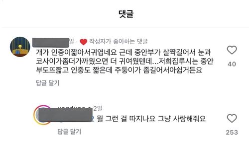 인스타그램 댓글 캡처