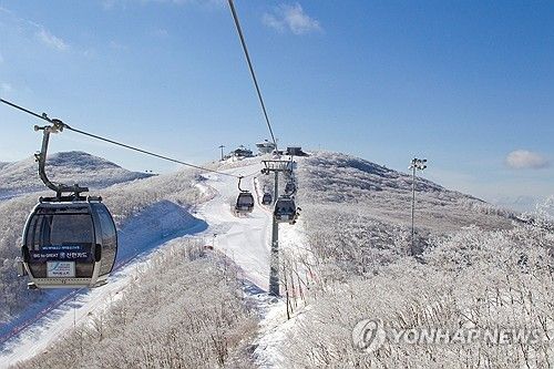 정선 하이원 스키장 개장