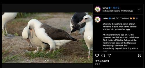 "그녀가 또 해냈다"