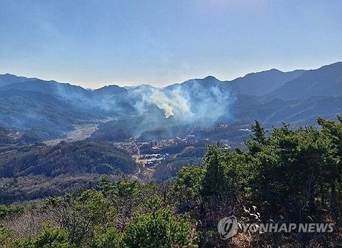 울진 온정면 산불