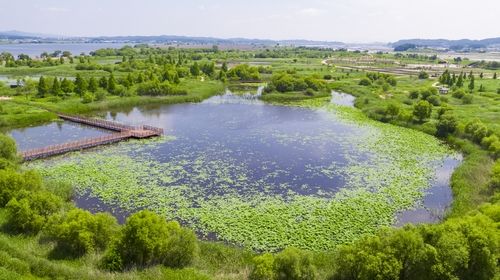 익산 용안생태습지