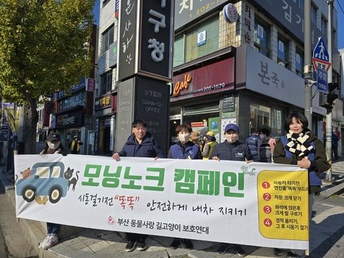캠페인 벌인 부산동물사랑길고양이보호연대