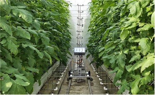 연동온실 상하흔들식 무인방제 시스템 보급 시범사업