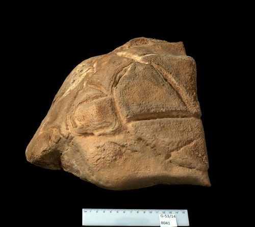 마놋 동굴에서 발견된 거북이 모양이 조각된 돌