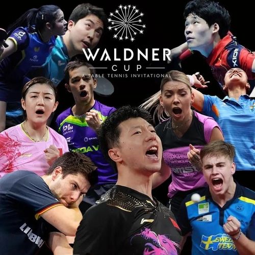 발트너컵 포스터 