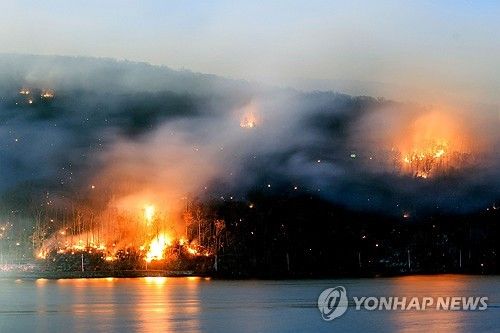 미국 산불