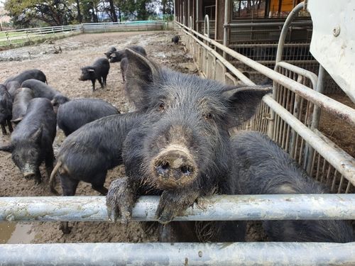 "뭐 하시는 분들이에요?"
