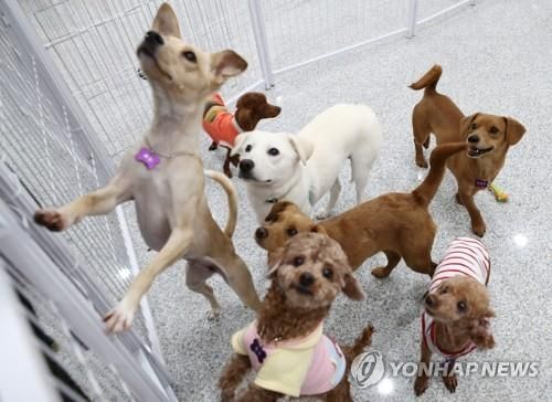 "날 데려가면 안 될까요?"