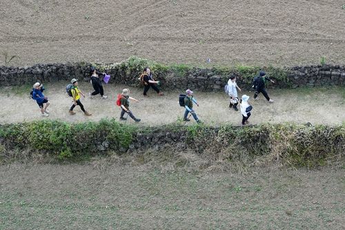 제주올레 여행객