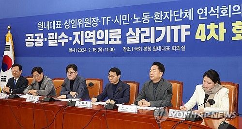 민주당 의료TF 연석회의