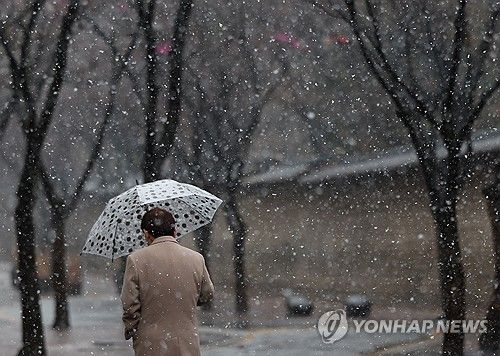 서울시내에서 한 시민이 우산을 쓰고 이동하고 있다. [연합뉴스 자료사진]