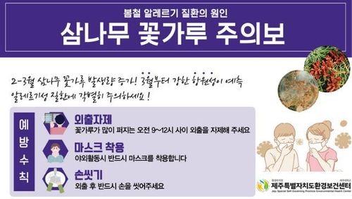 봄철 삼나무 꽃가루 주의보