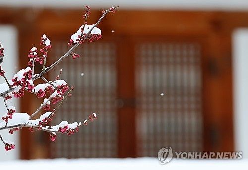 겨울과 봄의 만남