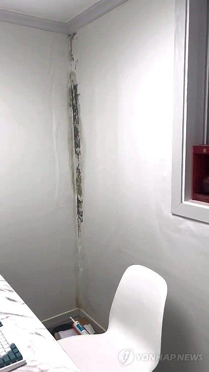 주택 관리 부실로 전세사기 '2차 피해'