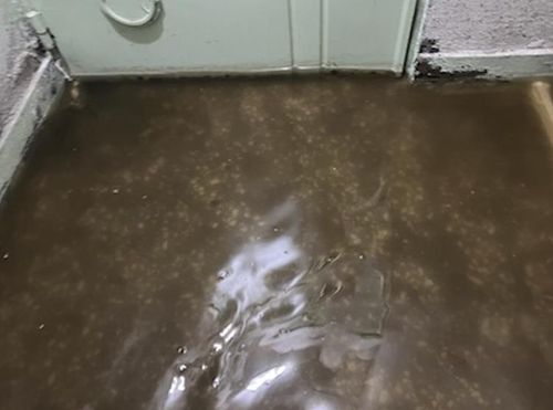 전세가시 피해주택에 들어찬 물 