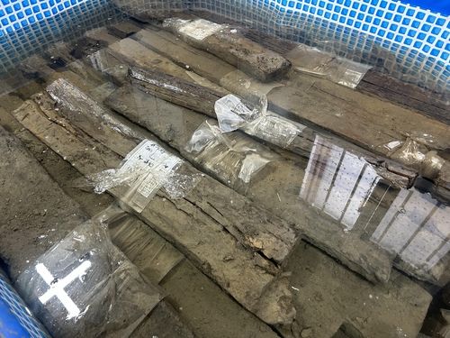 보존 처리 작업 중인 우물 목재 