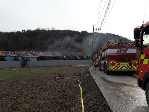 불에 탄 제천 돈사