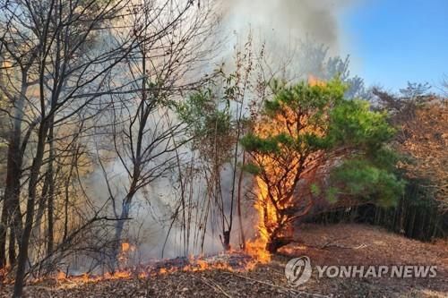 봄철 화재[광주 광산소방서 제공. 재판매 및 DB 금지]
