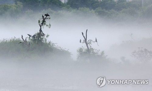 안개 도시 춘천
