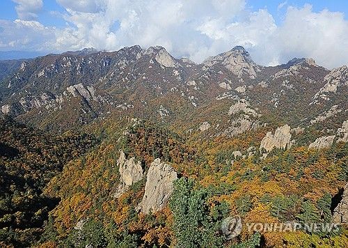 설악산국립공원. [연합뉴스 자료사진]