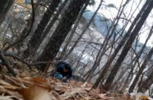 일당 중 유통책이 야산에 숨긴 마약을 찾는 모습