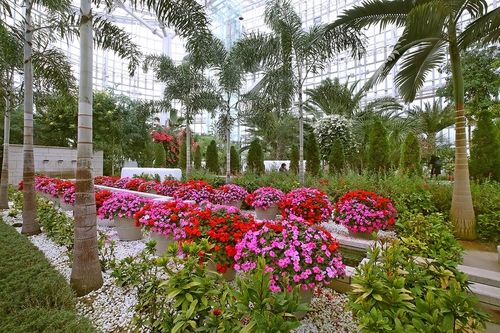 지중해온실 [사진/조보희 기자]