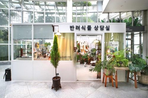 반려식물상담실 [사진/조보희 기자]