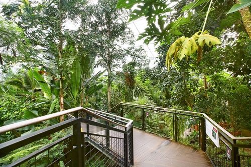 열대온실 [사진/조보희 기자]