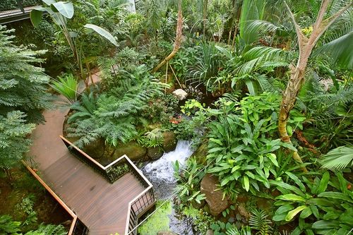 열대온실 [사진/조보희 기자]