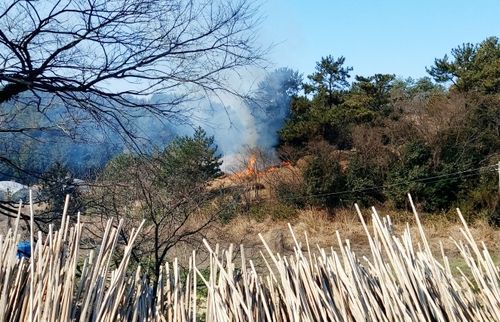 전남 완도 야산서 화재