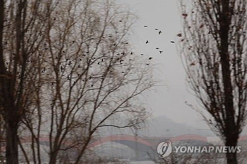 비 그리고 안개