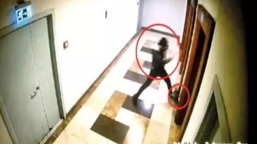 케로을란이 아파트에서 고양이를 학대하는 장면