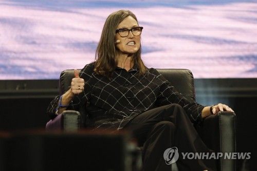 캐시 우드 아크 인베스트먼트 최고경영자