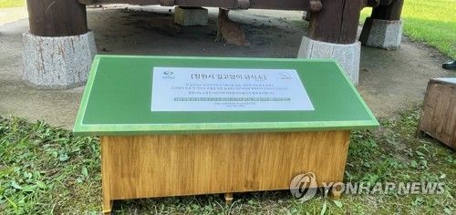 길고양이 공공급식소