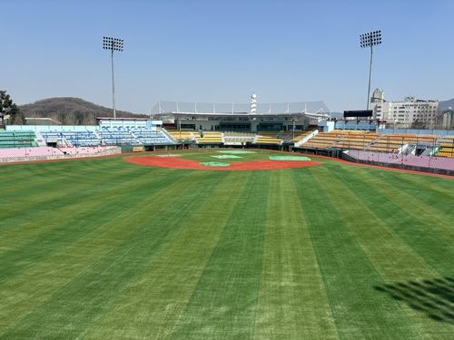 교체된 청주야구장 인조잔디